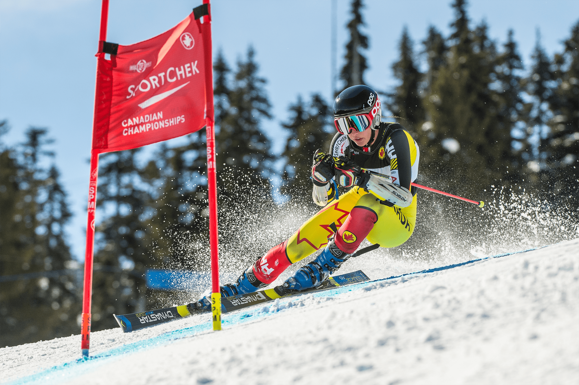 Lakehead Ski Division Alpine